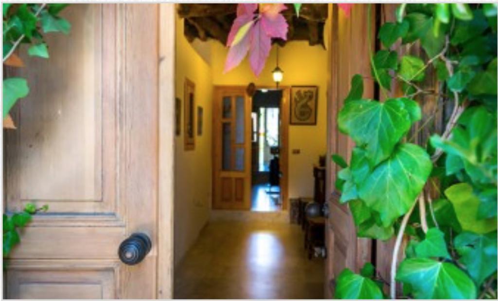 El Achkar Guesthouse Beit ed-Dine Exteriör bild